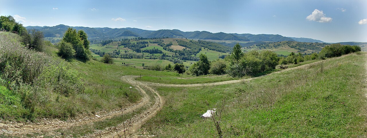 Dealul Viei și pădurea Rohiei